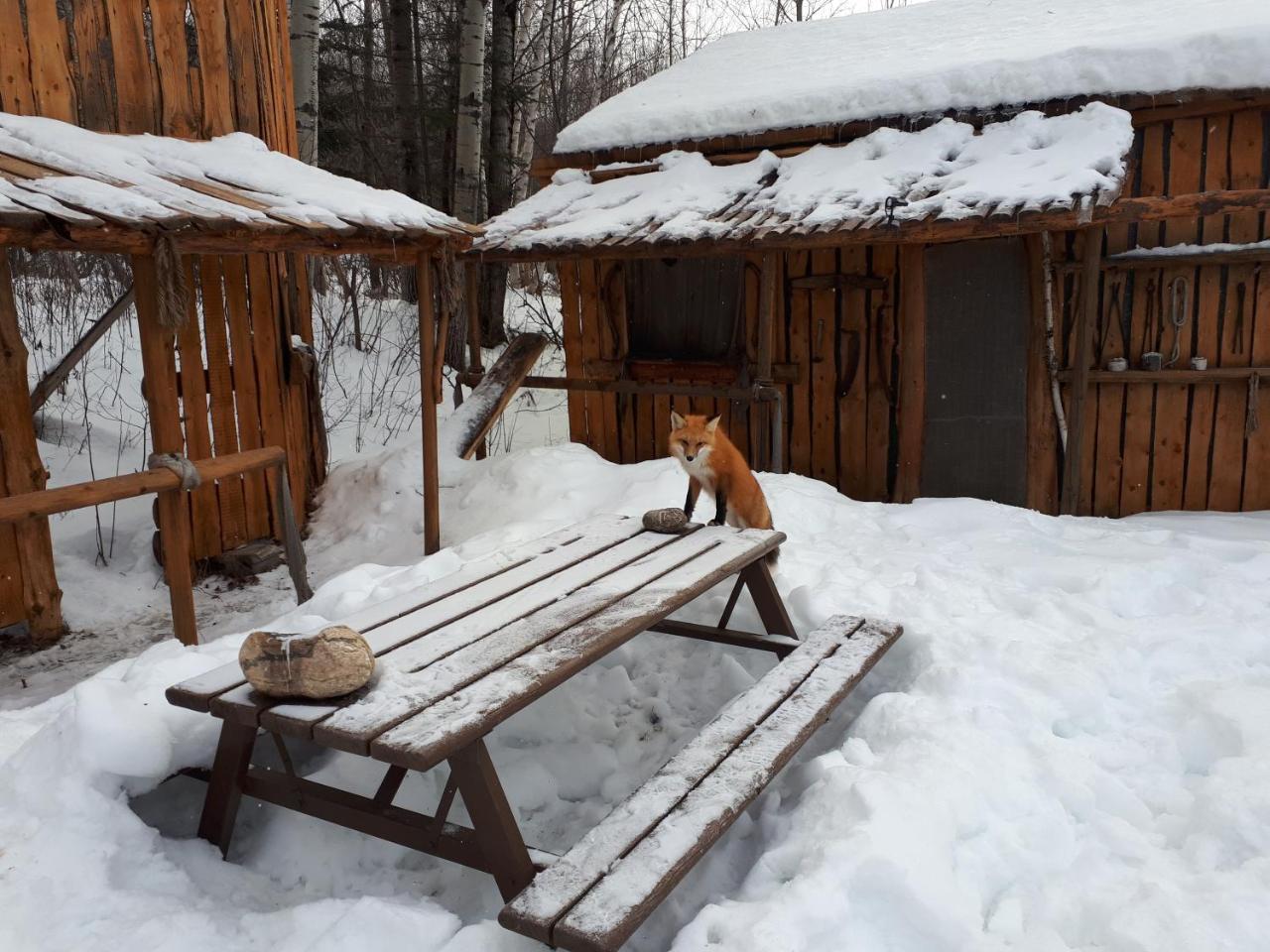 Hebergement De La Montagne St-Roch Saint Roch de Mekinac Екстер'єр фото