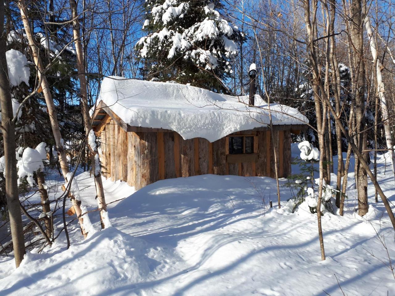 Hebergement De La Montagne St-Roch Saint Roch de Mekinac Екстер'єр фото